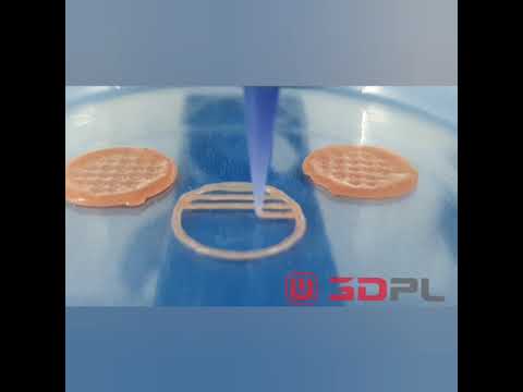 3D Printing of hydrogel scaffold