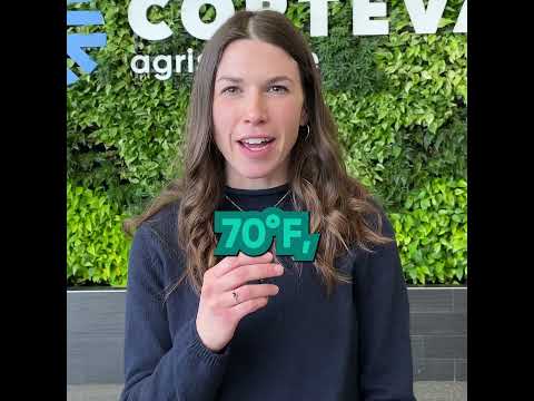 2025 Nitrogen Stabilizer Myth-Busting with Rachel Kissel